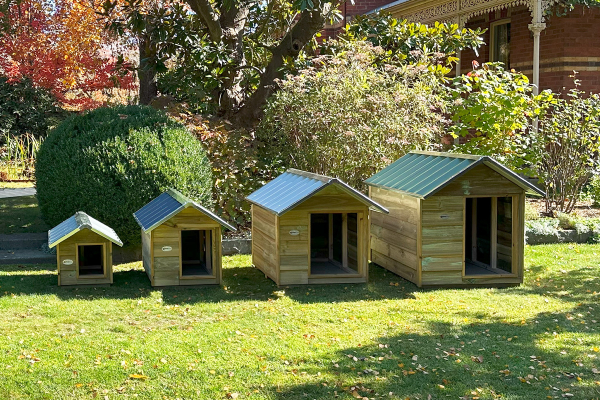 Timber Dog Kennel (Gable Roof) – Eco-Friendly & Durable - SteelChief