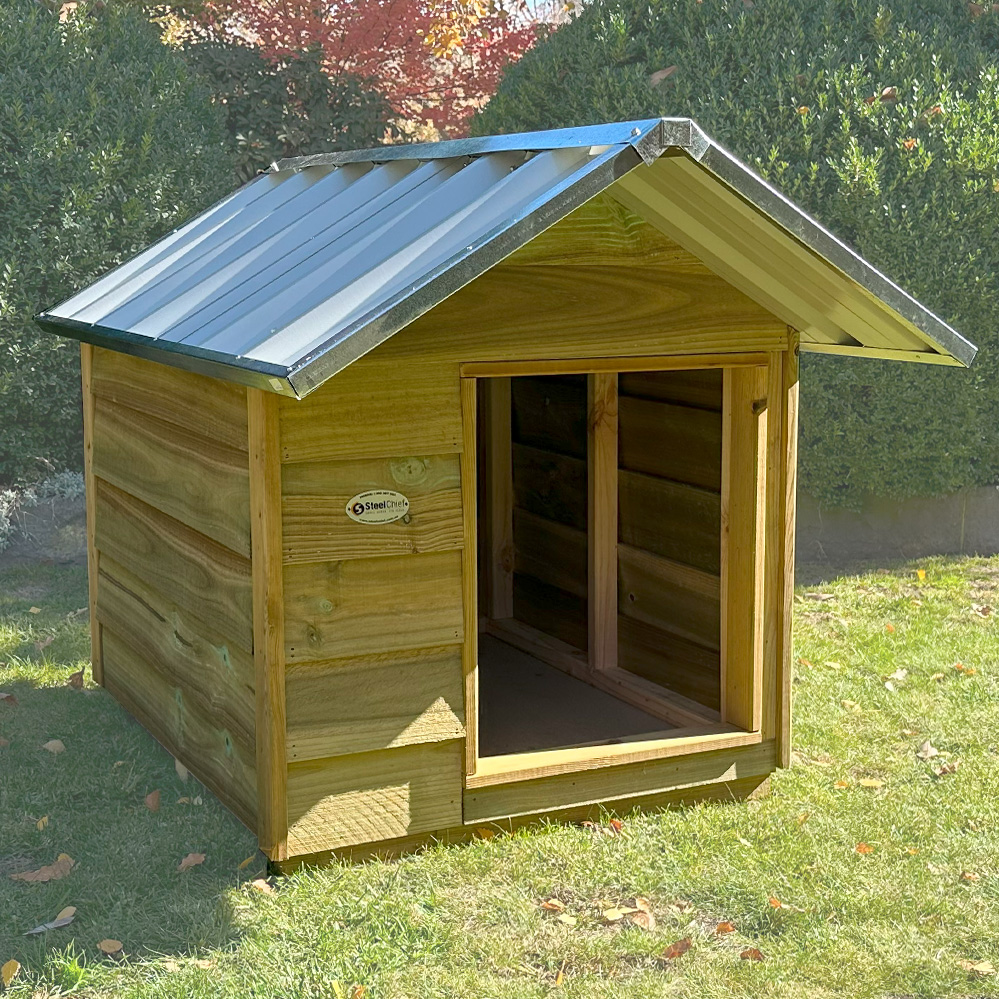 What type of kennel is best for dogs? - SteelChief