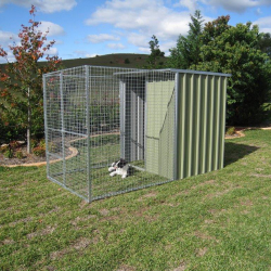shed with dog run