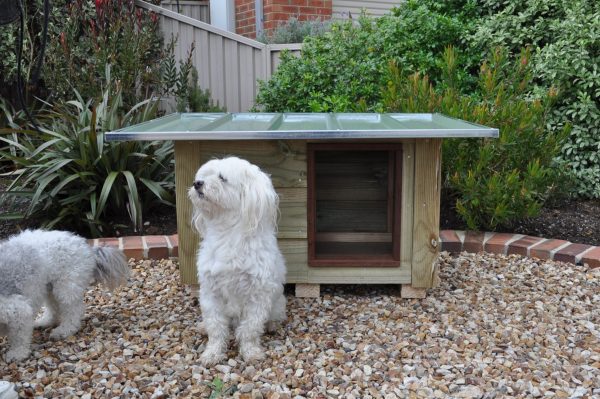 Small timber dog kennel with a flat roof
